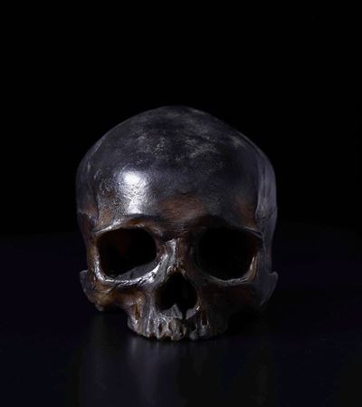 Cranio in Cera, XX-XXI Secolo