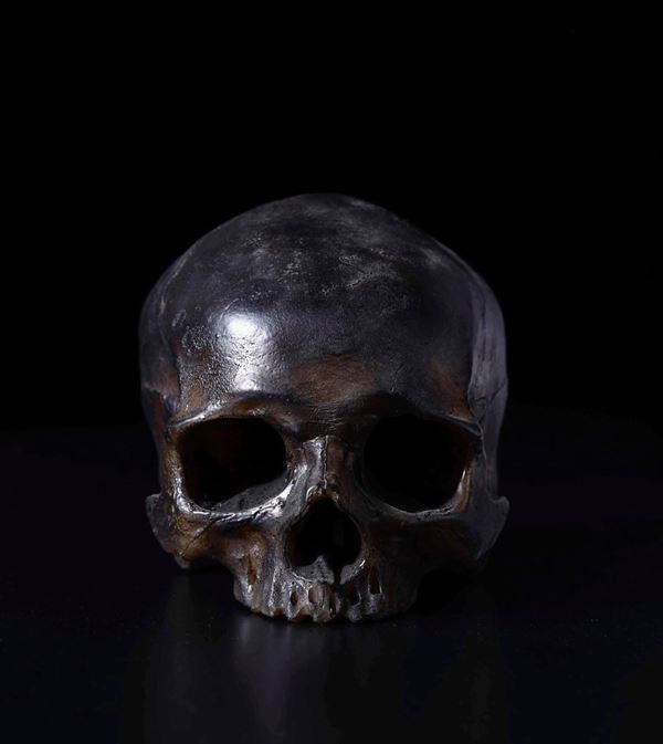 Cranio in cera, XX-XXI secolo