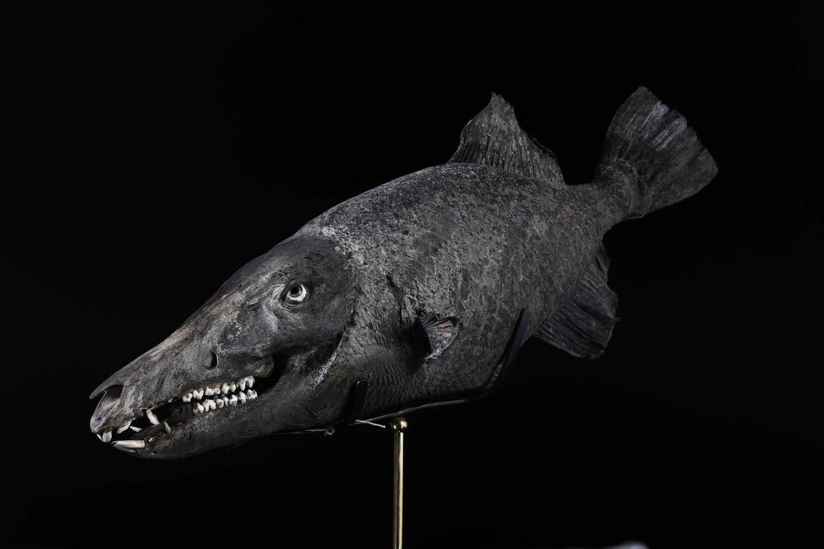 Chimera o Animale Immaginario