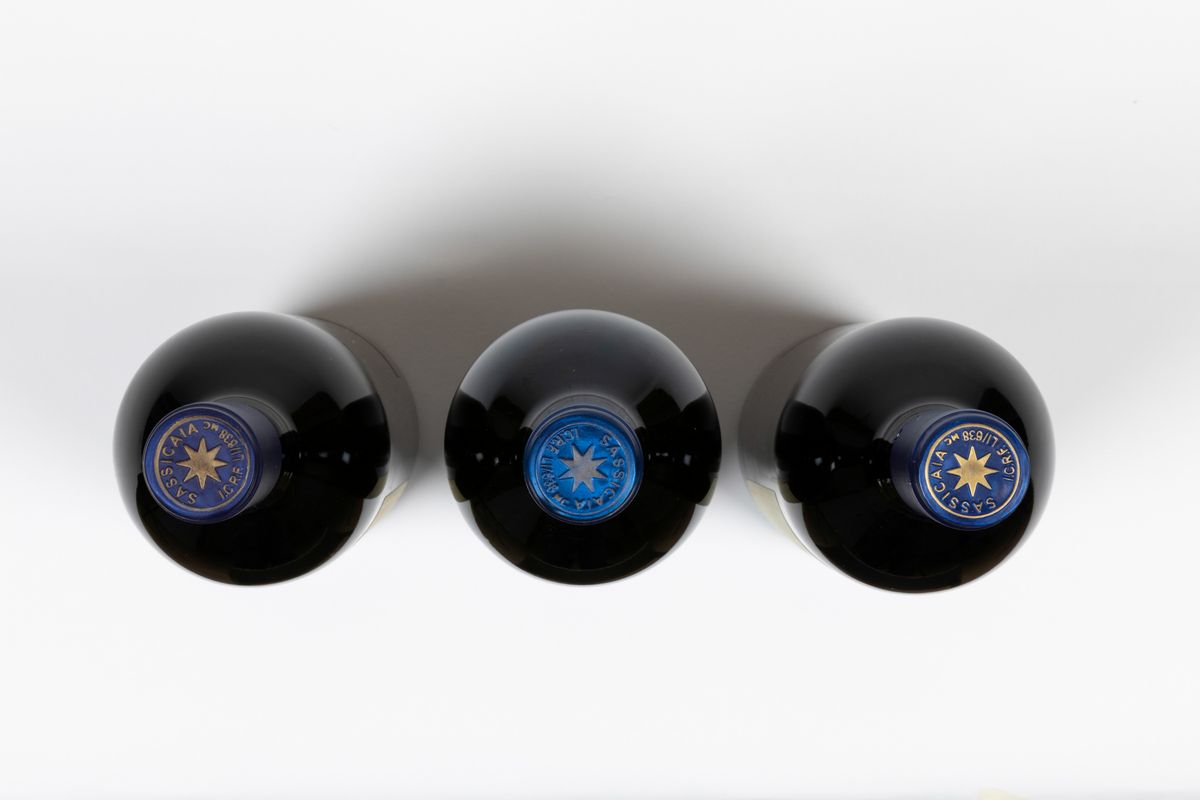 Tenuta San Guido, Sassicaia