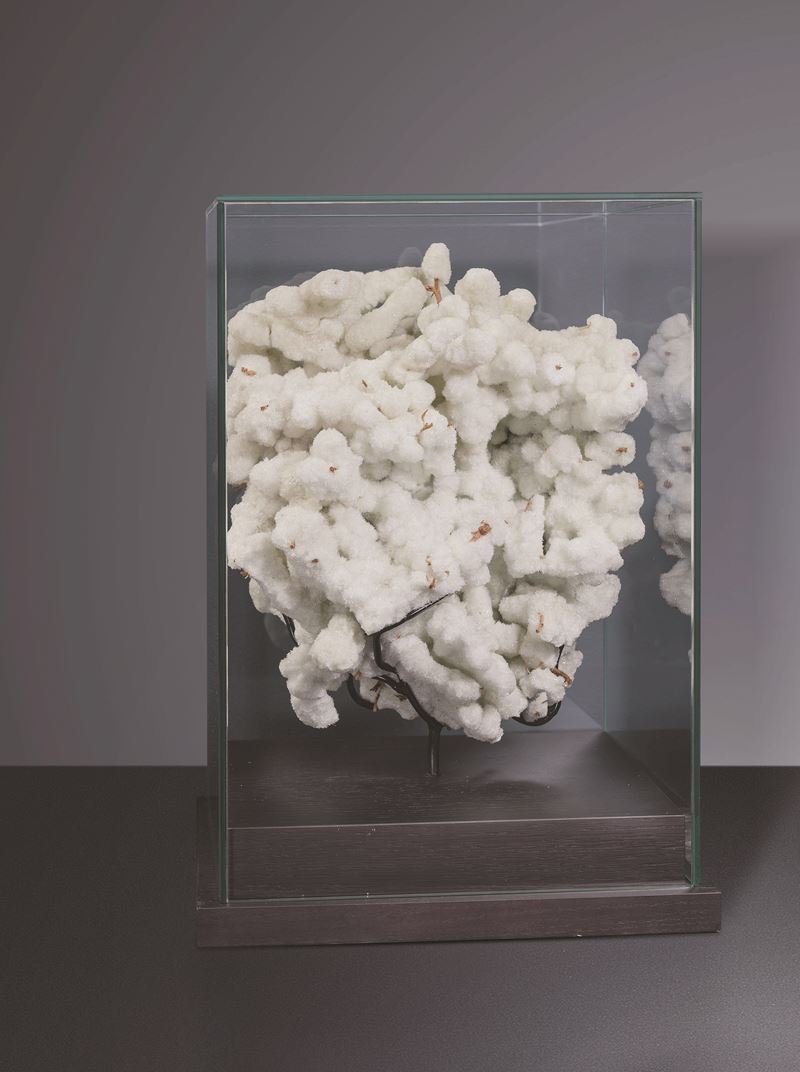 Ramo cristallizato in gesso  - Auction Mirabilia - Natural History - Cambi Casa d'Aste