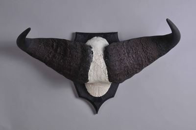 Trofeo di Bufalo Cafro