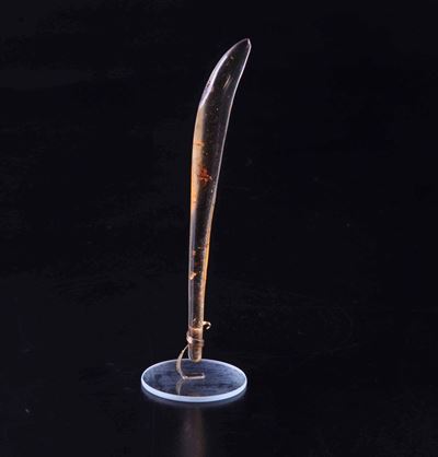 Ambra Copale Fossile con Ragno