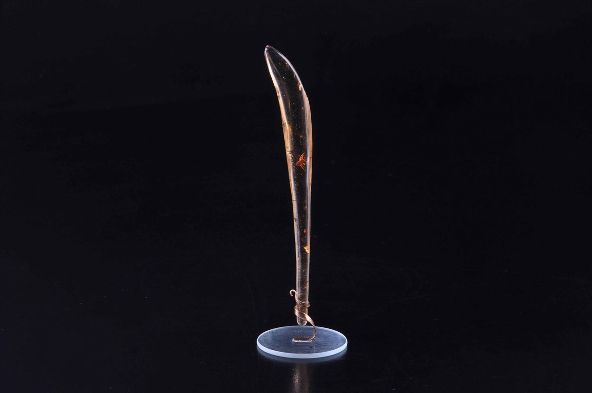 Ambra Copale Fossile con Ragno