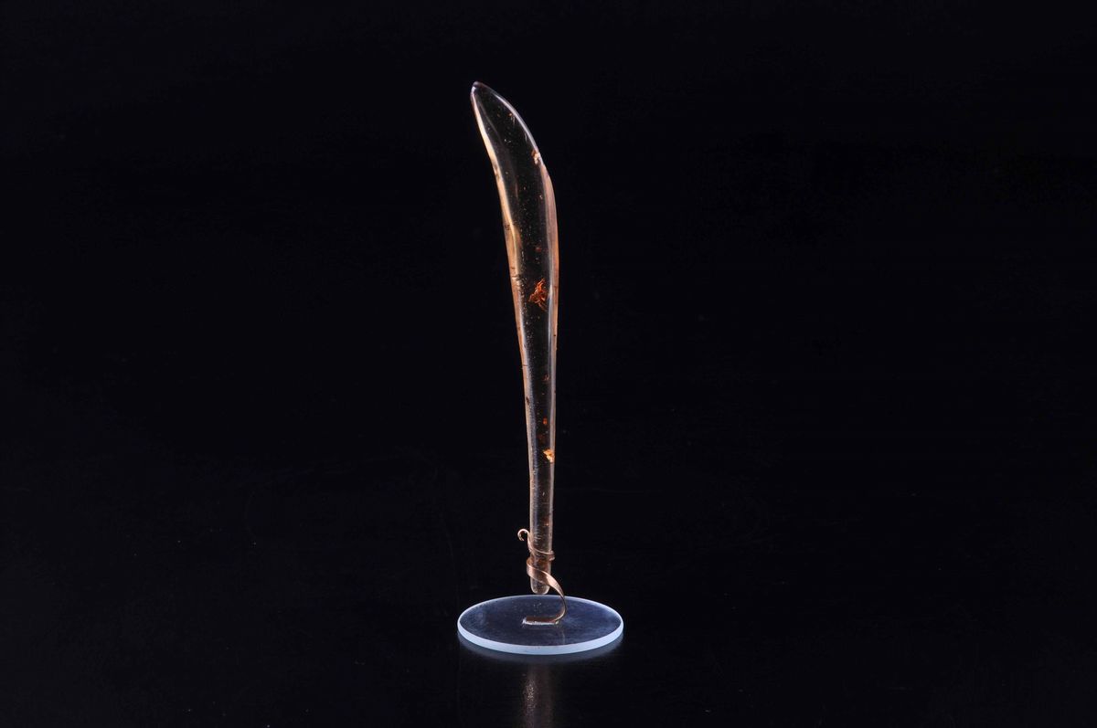 Ambra Copale Fossile con Ragno
