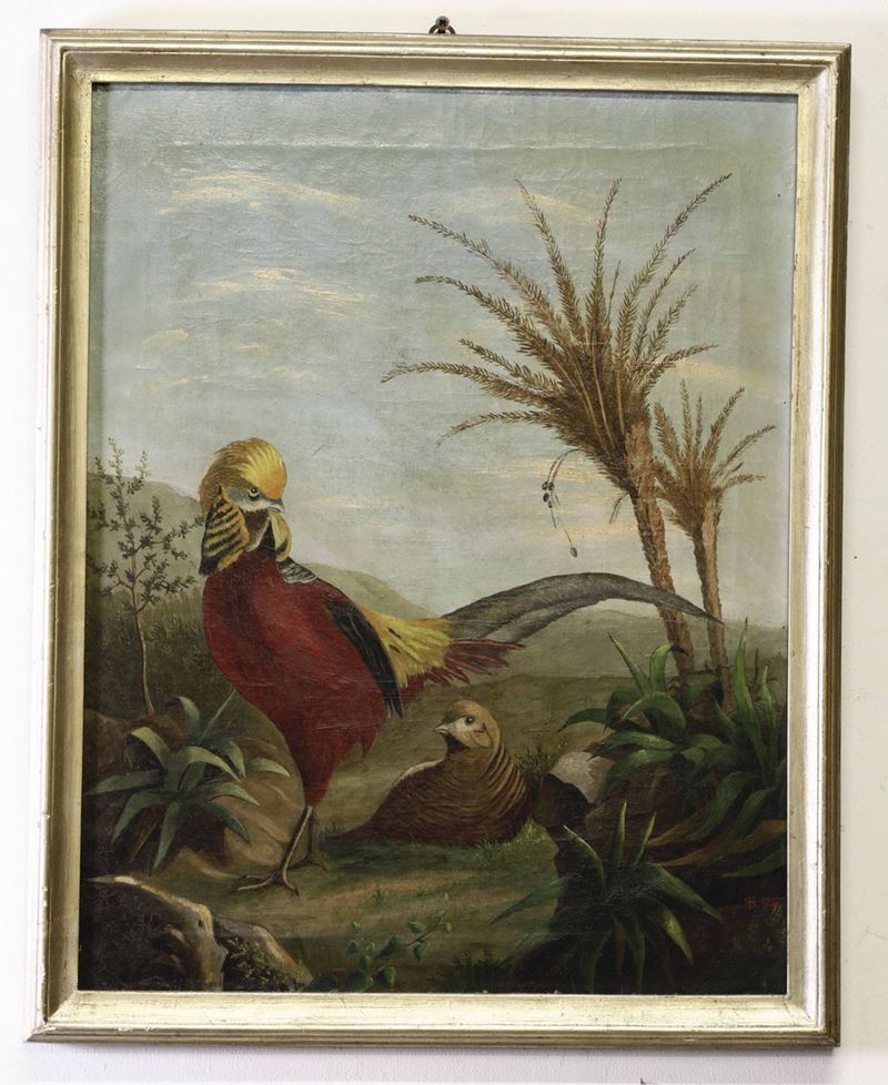 Dipinto raffigurante uccelli esotici, XIX-XX secolo  - Asta Dipinti del XIX-XX Secolo | Asta a Tempo - Cambi Casa d'Aste
