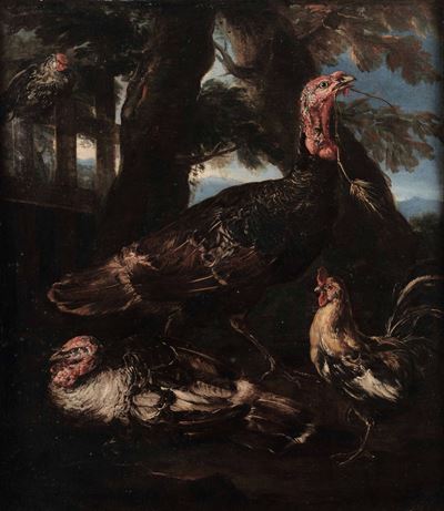 Angelo Maria Crivelli Detto il Crivellone (milano ?-1730 Circa)tacchini e Polli