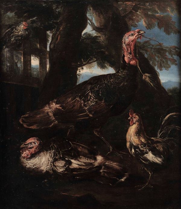 Angelo Maria Crivelli detto il Crivellone (Milano ?-1730 circa) Tacchini e polli