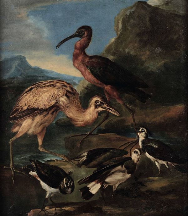 Angelo Maria Crivelli detto il Crivellone (Milano ?-1730 circa) Uccelli acquatici