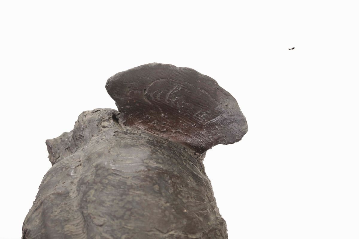 Busto di Donna in Bronzo, XIX-XX Secolo