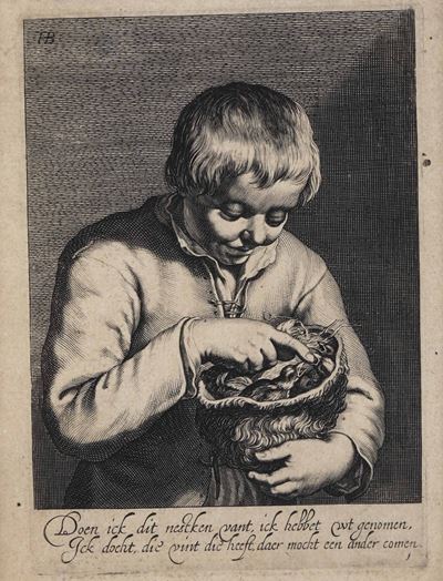 Incisione Fiamminga Siglata Fb Raffigurante un Bambino che Contempla un Nido di Uccellini, XIX Se...