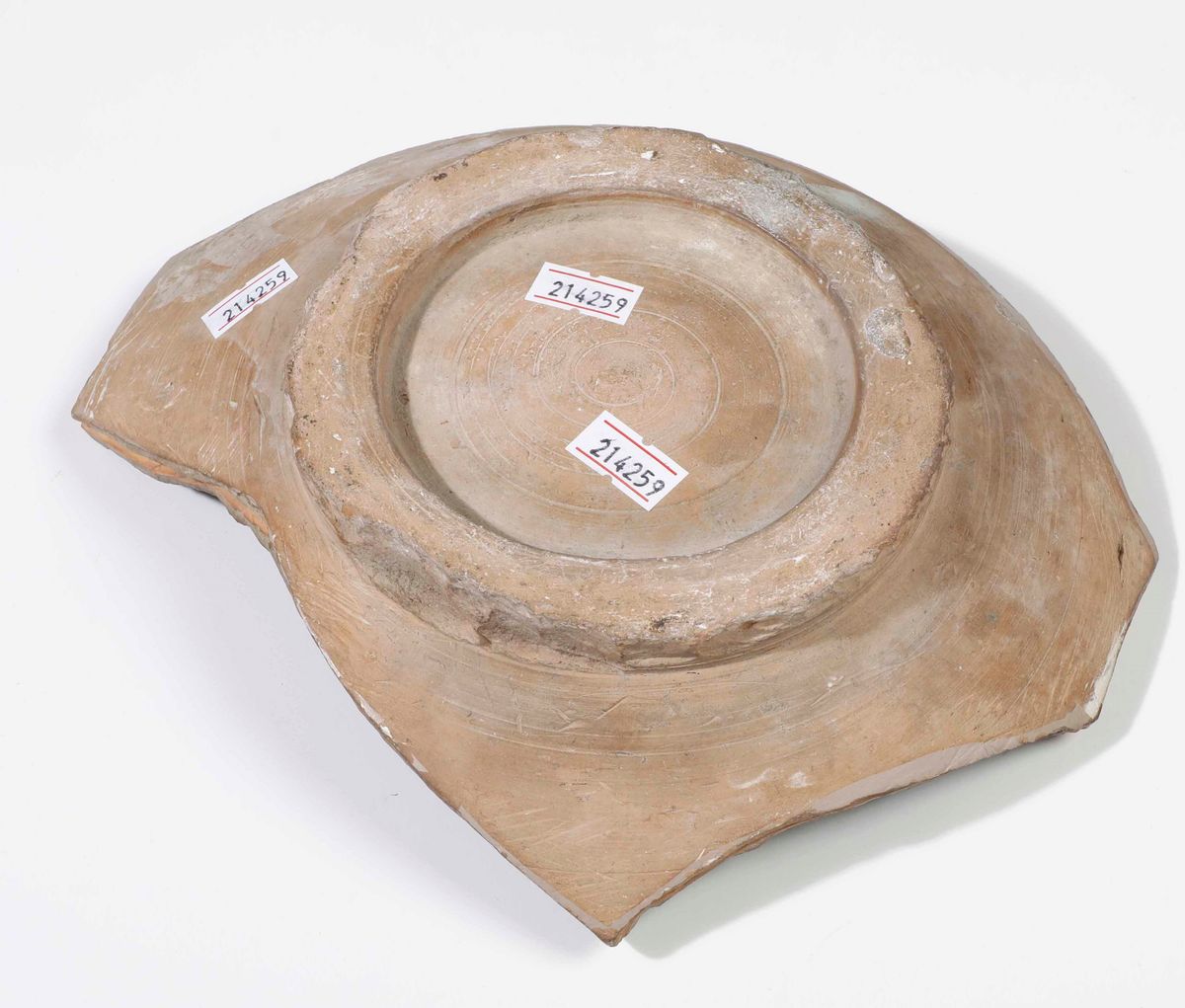Frammento di Piatto Tipologia Ferrarese, XIX o XX Secolo