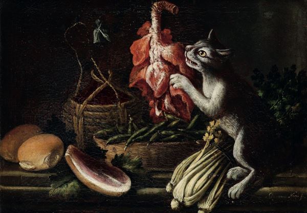 Giacomo Nani (Porto Ercole 1698 - Napoli 1755) Natura morta con gatto