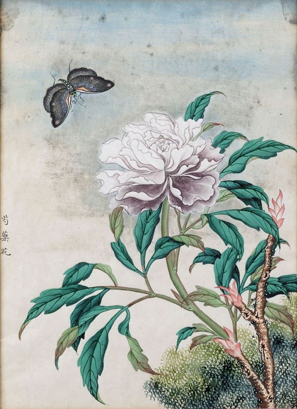 Dipinto su carta raffigurante peonia e farfalla con iscrizione, Cina, Dinastia Qing, XIX secolo