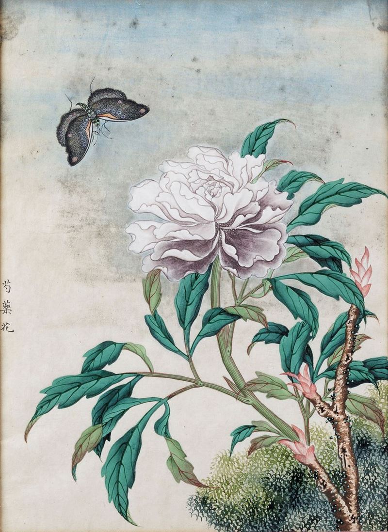 Dipinto su carta raffigurante peonia e farfalla con iscrizione, Cina, Dinastia Qing, XIX secolo  - Asta Arte Orientale - Cambi Casa d'Aste