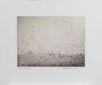 Verso il Cielo