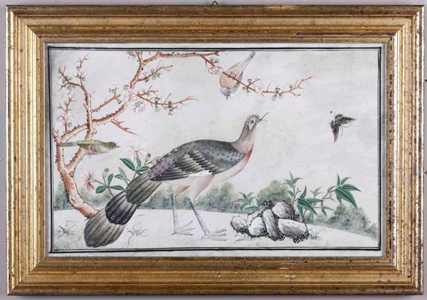 Scuola italiana dell'inizio del XIX secolo Scena naturalistica con pavone