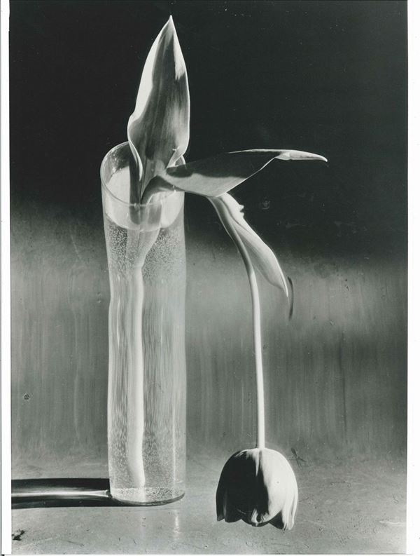 André Kertész (1894-1985) Tulipano melanconico, New York, 1939