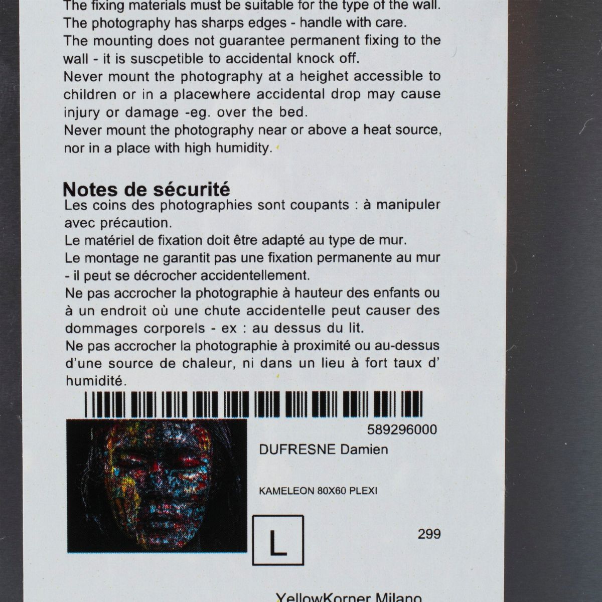 Damien Dufresne - Kameleon