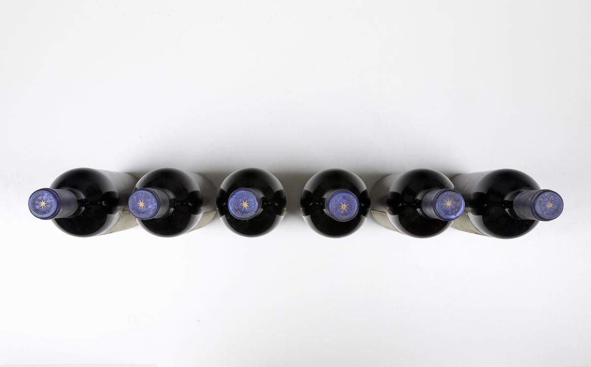 Tenuta San Guido, Sassicaia
