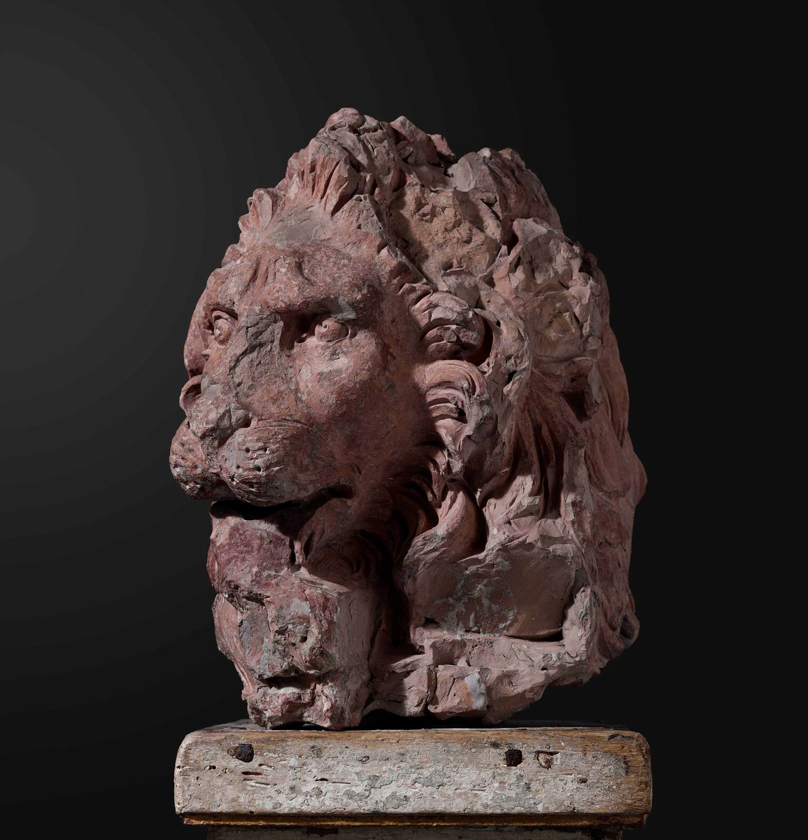Testa di Leone Terracotta Bottega di Gian Lorenzo Bernini ( o Gian Lorenzo Bernini?) Roma 1654 - ...