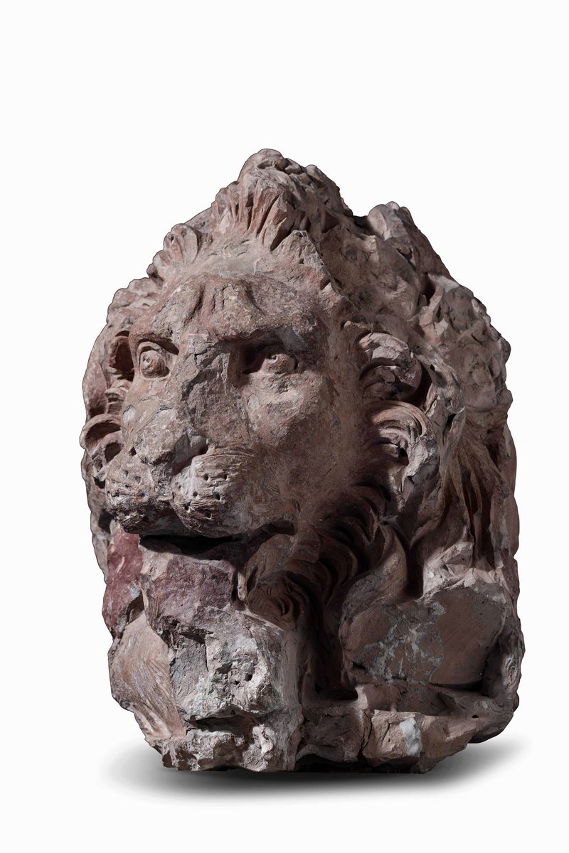 Testa di Leone Terracotta Bottega di Gian Lorenzo Bernini ( o Gian Lorenzo Bernini?) Roma 1654 - ...