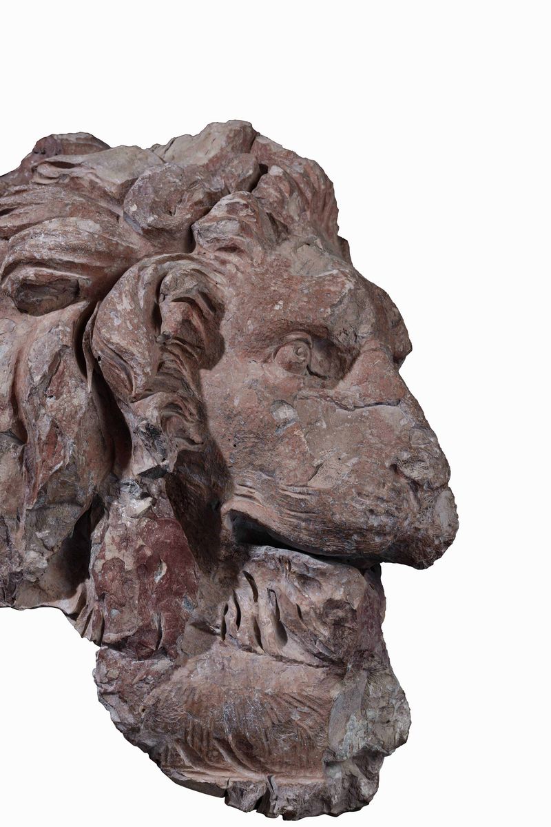 Testa di Leone Terracotta Bottega di Gian Lorenzo Bernini ( o Gian Lorenzo Bernini?) Roma 1654 - ...