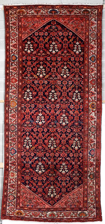 Kelley Malayer, Persia Inizio XX Secolo