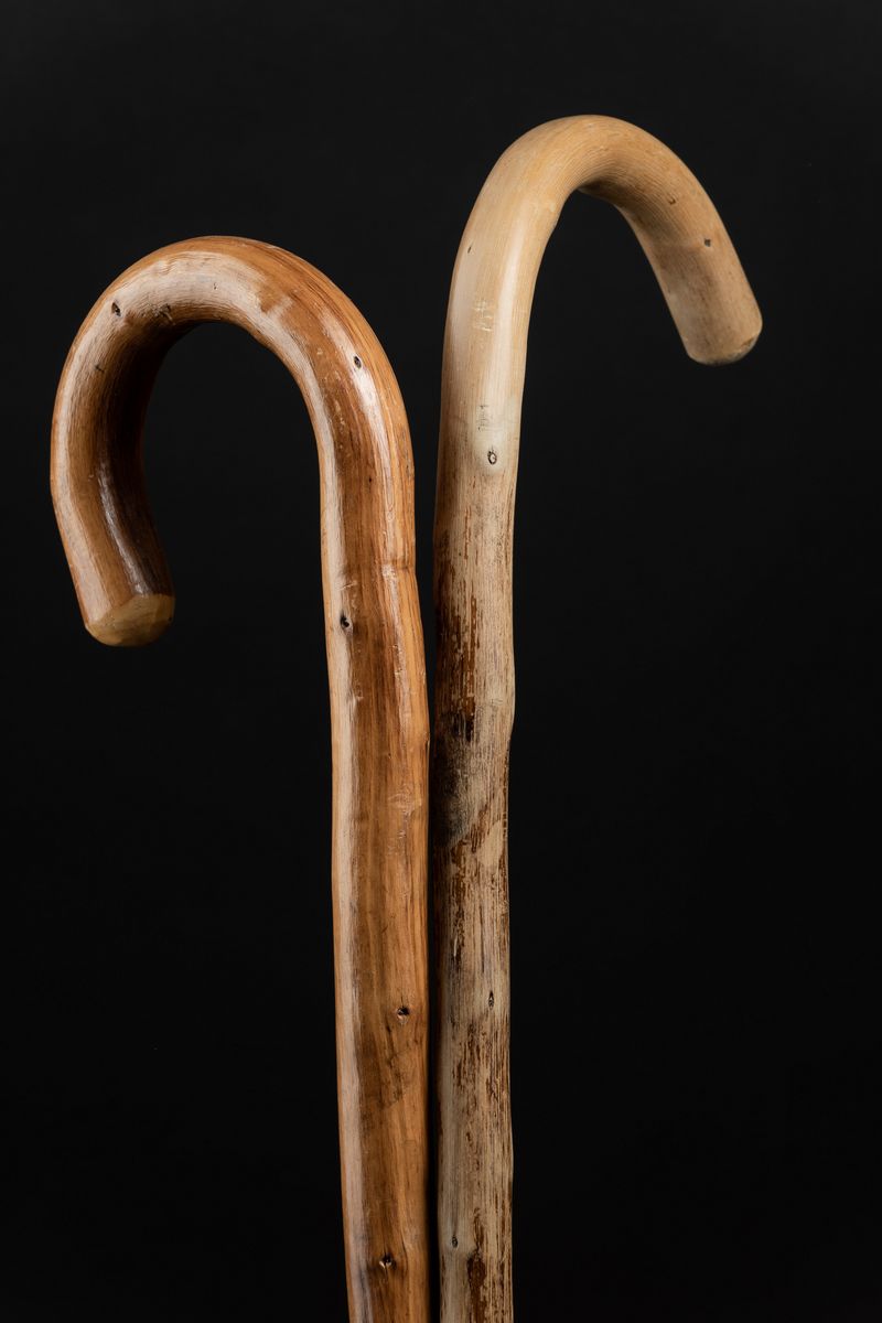 Bastoni da Passeggio in Legno, Europa, Inizi XX Secolo