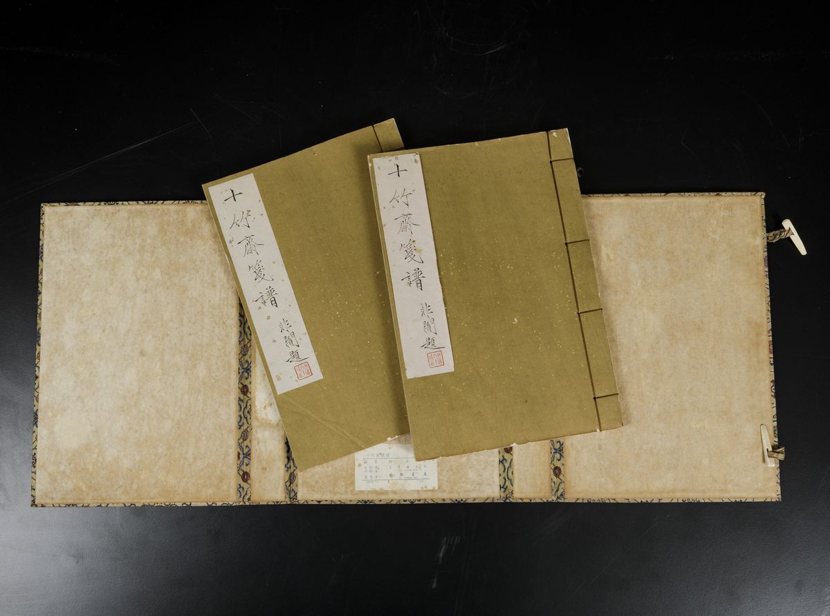 Coppia di Libri Entro Custodia Contenenti Dipinti su Carta a Soggetto Naturalistico, Cina, Dinast...