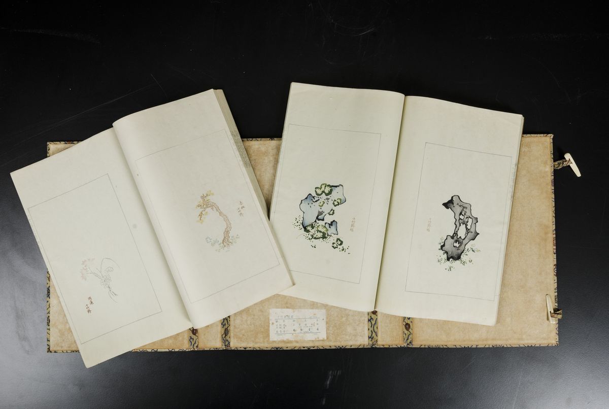 Coppia di Libri Entro Custodia Contenenti Dipinti su Carta a Soggetto Naturalistico, Cina, Dinast...