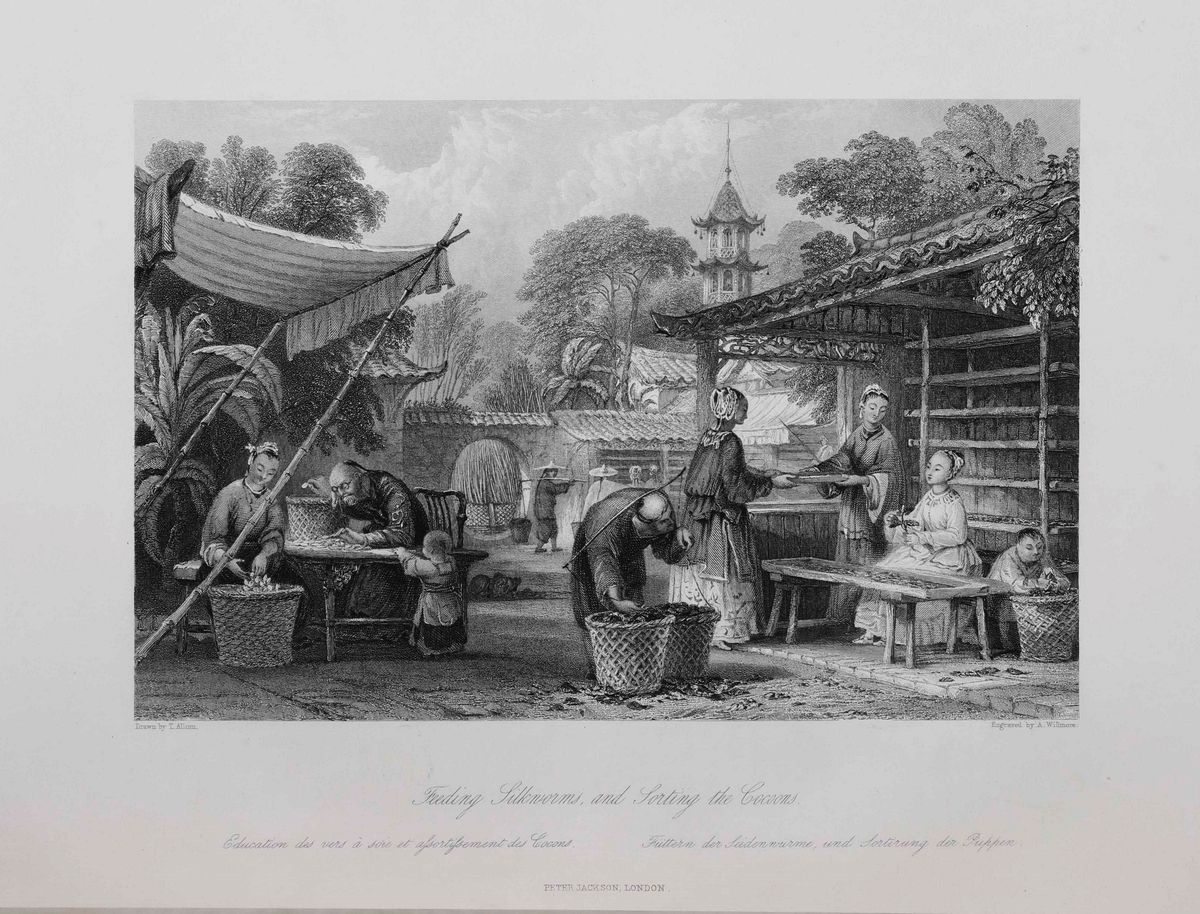 Cina e Indiatre Opere Figurate del Secolo XIX