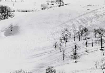 Abbas Gharib (1942)snow White Photo Collection, 2012