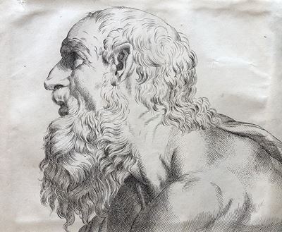 Scuola del XIX Secolo Testa Virile