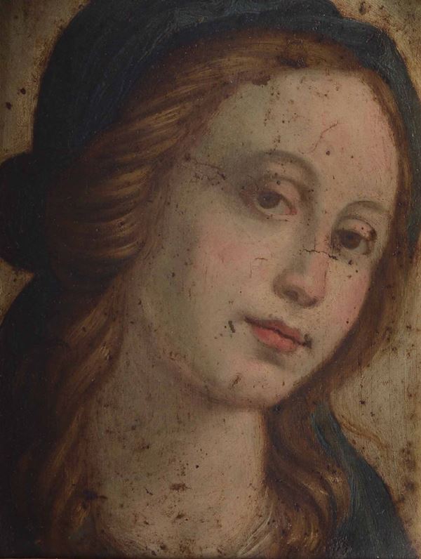 Scuola toscana del XVII secolo Volto femminile