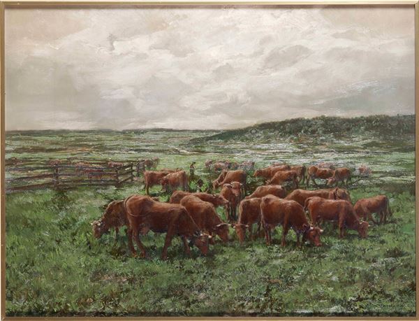 Mucche al pascolo