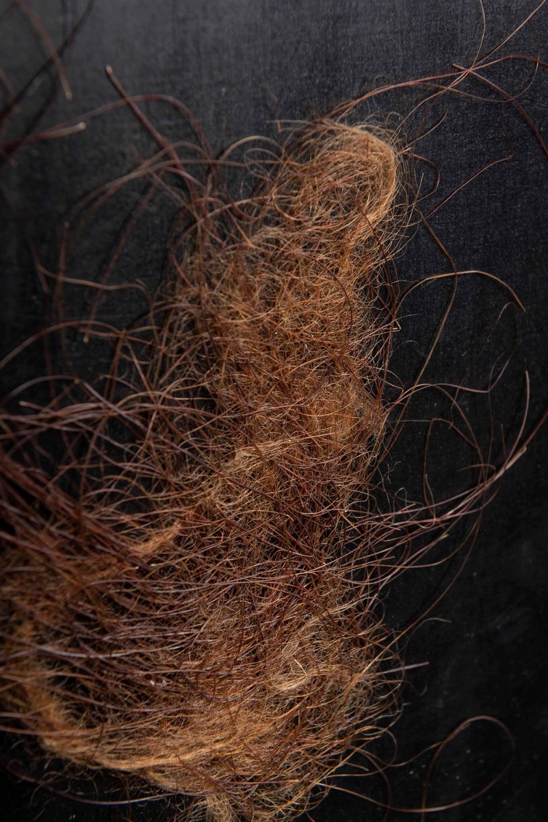 Pelo di mammut