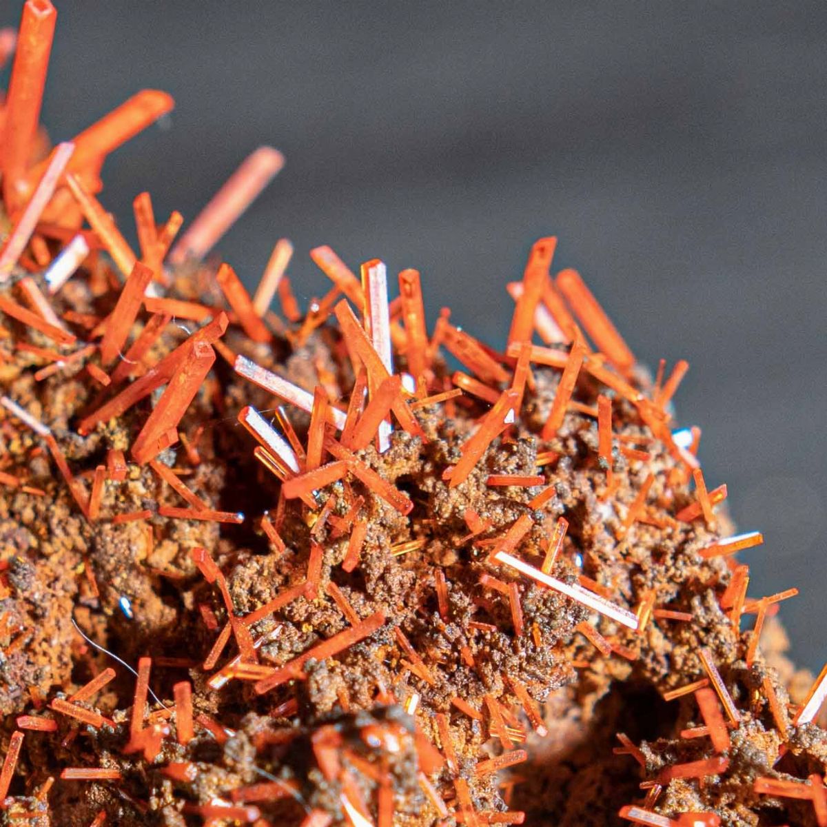 Crocoite su Elegante Display