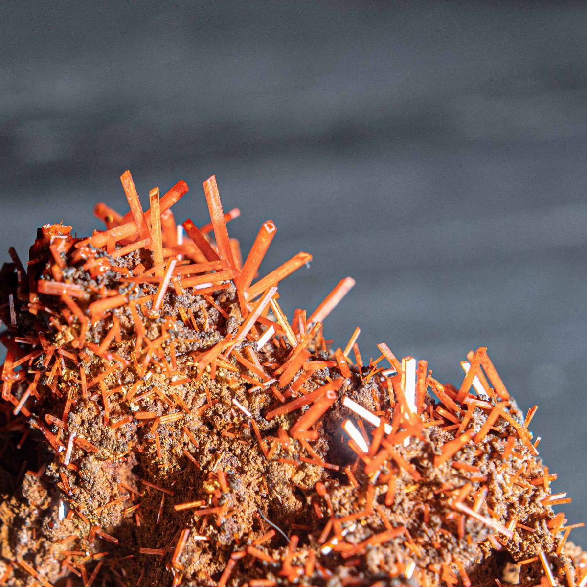 Crocoite su Elegante Display