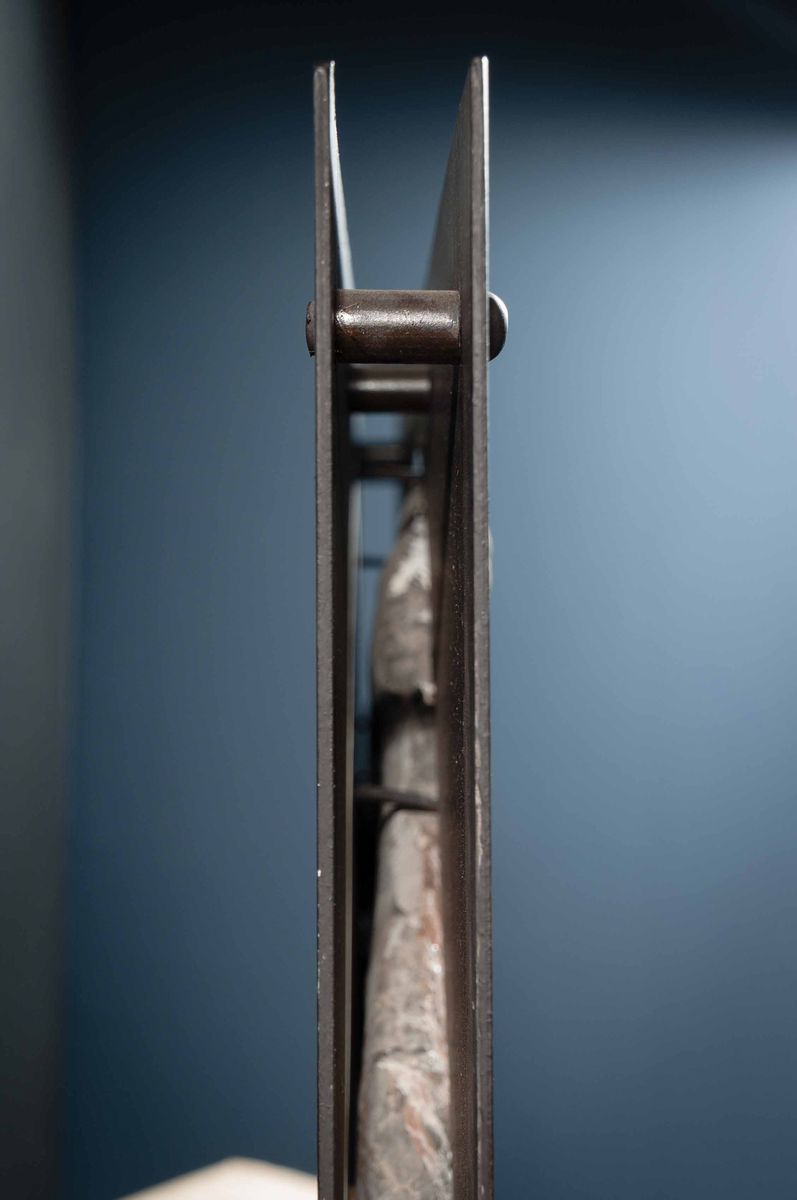 Fossile di crinoide in quadro metallico
