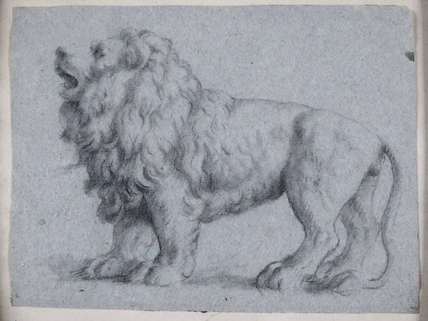 Scuola italiana del XVII-XVIII secolo Figura di leone