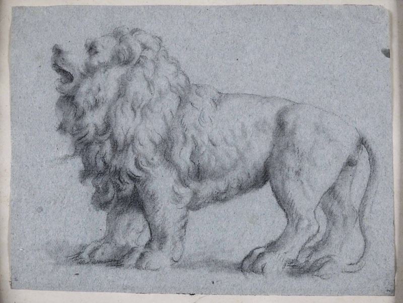 Scuola italiana del XVII-XVIII secolo Figura di leone  - Asta Disegni Antichi - Cambi Casa d'Aste