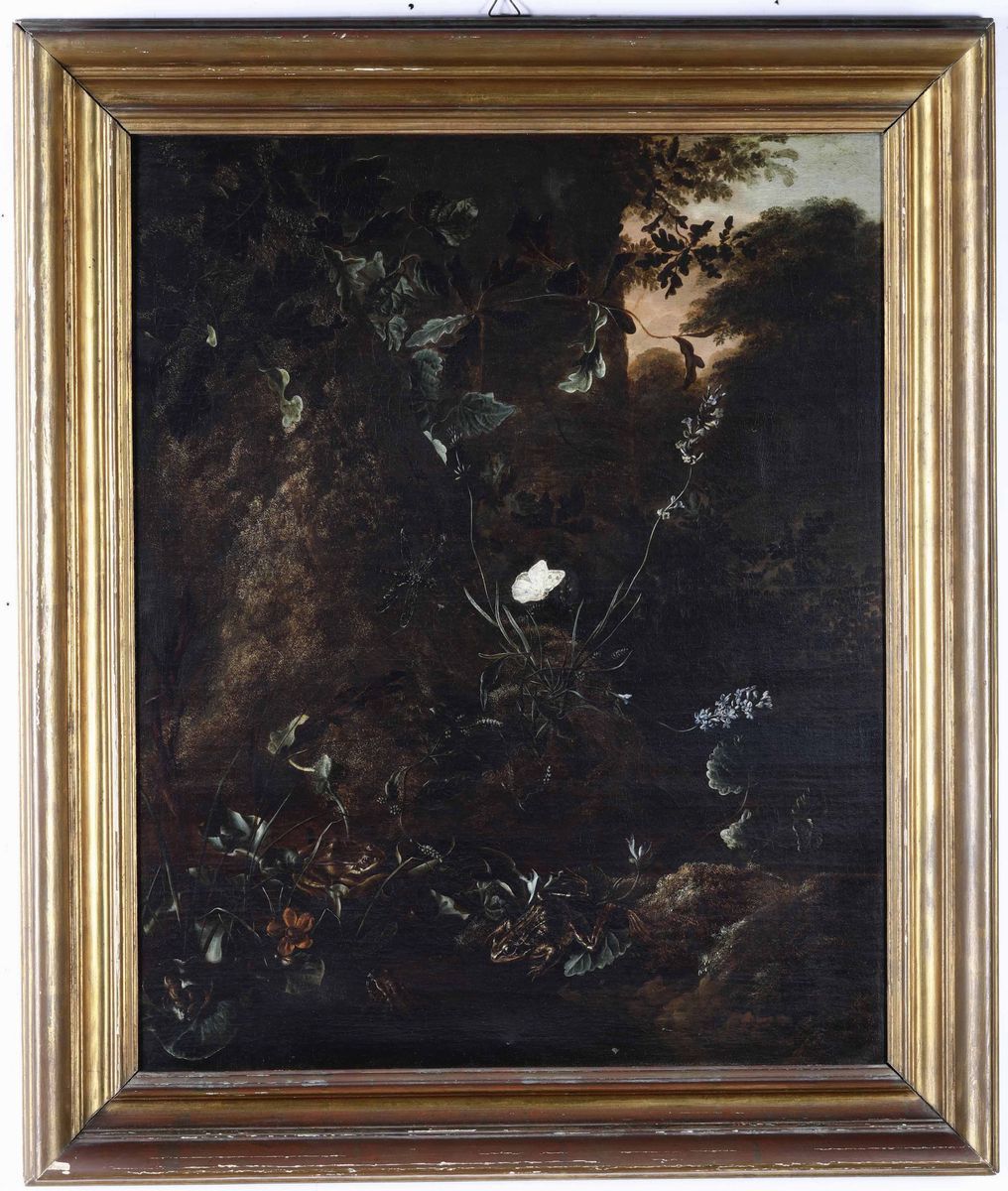 Otto Marseus Van Schrieck (nimega 1619 - Amsterdam 1678), Attribuito Asottobosco