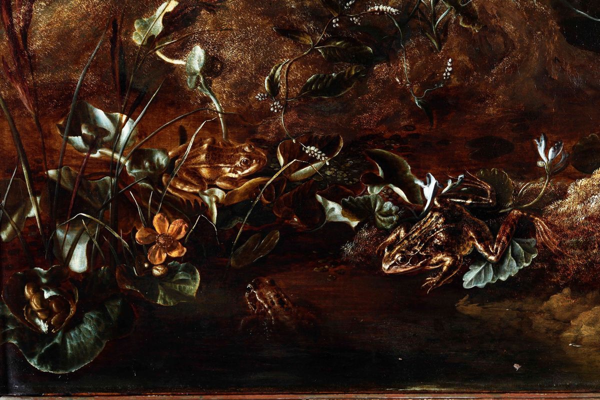 Otto Marseus Van Schrieck (nimega 1619 - Amsterdam 1678), Attribuito Asottobosco