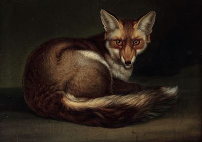Pittore Dell'inizio del XIX Secolovolpe