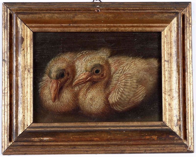 Scuola del XVII secolo Coppia di pulcini  - Auction Old Master Paintings | Time Auction - Cambi Casa d'Aste
