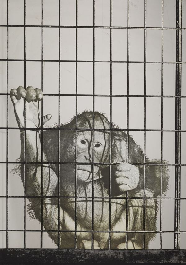 Michelangelo Pistoletto (1933) Scimmia, 1972
