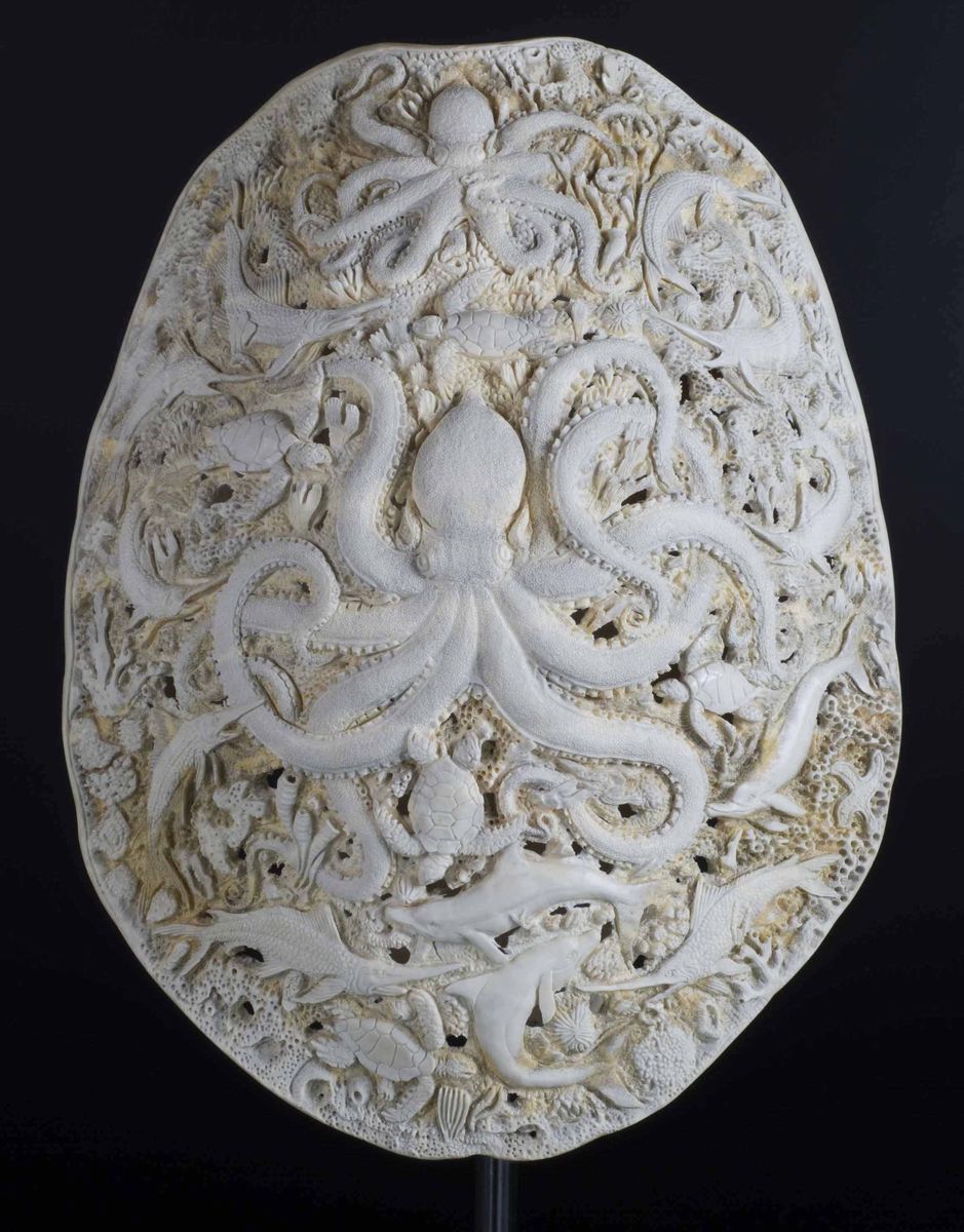 Carapace di tartaruga inciso