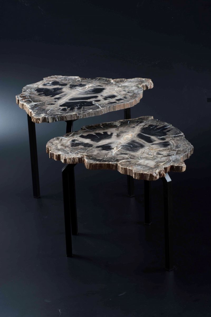 Coppia di tavolini in legno fossile