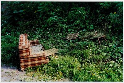 Tony Oursler (1957)trash (empirical), On The Side Of The Road, 1998